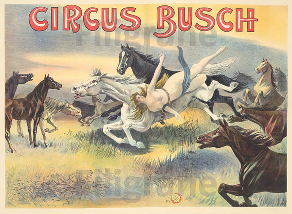 CIRQUE  CIRCUS BUSCH CHEVAUX Réf280 POSTER*POSTER/REPRO d1 AFFICHE RéTRO