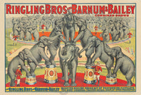 CIRQUE RINGLING BROS éLéPHANTS Ruho-POSTER/REPRODUCTION d1 AFFICHE VINTAGE