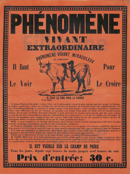 CIRQUE PhéNOMèNE VIVANT ANIMAUX Ryit-POSTER/REPRODUCTION d1 AFFICHE VINTAGE