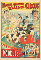POODLES CIRQUE Rloj-POSTER/REPRODUCTION d1 AFFICHE VINTAGE