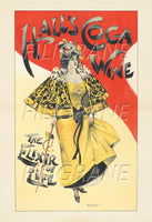 PUB HALL'S COCA WINE ELIXIR Rkrv-POSTER/REPRODUCTION d1 AFFICHE VINTAGE