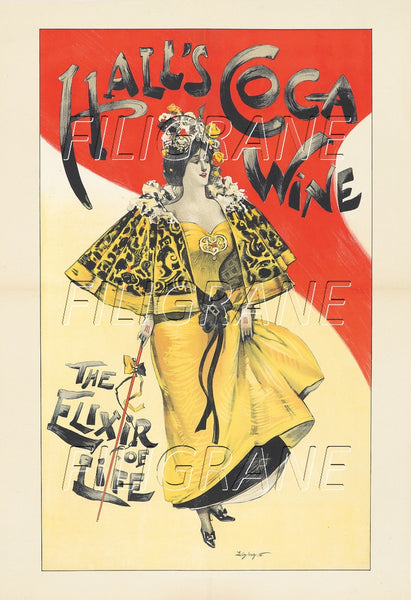 PUB HALL'S COCA WINE ELIXIR Rkrv-POSTER/REPRODUCTION d1 AFFICHE VINTAGE