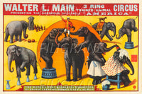 CIRQUE WALTER L. MAIN éLéPHANTS  Rrcl-POSTER/REPRODUCTION d1 AFFICHE VINTAGE