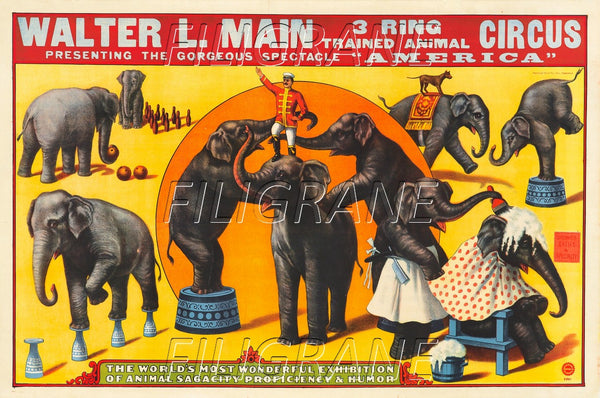 CIRQUE WALTER L. MAIN éLéPHANTS  Rrcl-POSTER/REPRODUCTION d1 AFFICHE VINTAGE