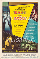 EAST of EDEN FILM Rozu-POSTER/REPRODUCTION d1 AFFICHE VINTAGE