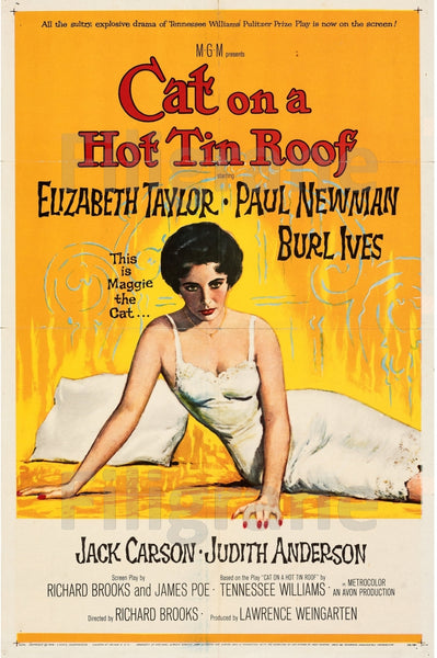CINéMA CAT on a HOT TIN ROOF Rfpn-POSTER/REPRODUCTION d1 AFFICHE VINTAGE
