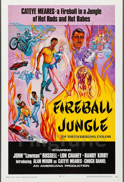 FIREBALL JUNGLE FILM Rptw-POSTER/REPRODUCTION d1 AFFICHE VINTAGE