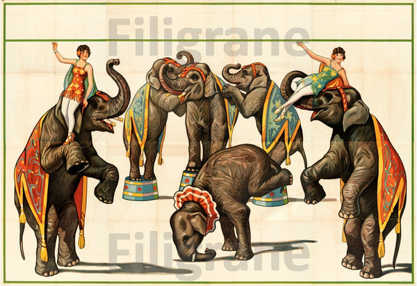 CIRQUE éLéPHANTS Rvve-POSTER/REPRODUCTION d1 AFFICHE VINTAGE